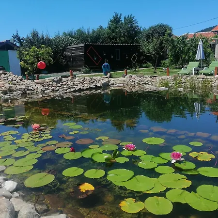Calla Retreat Domek letniskowy Vezenkovo
